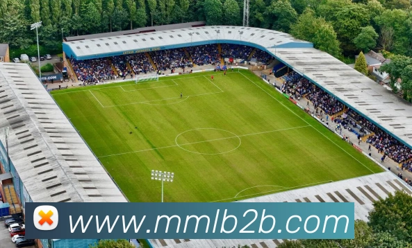 多彩内容专区